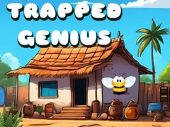 Gioco Trapped Genius