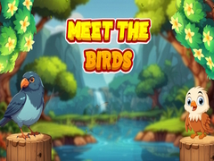 Gioco Meet The Birds 