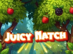 Gioco Juicy Match