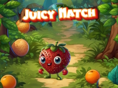 Gioco Juicy Match