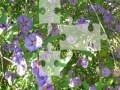 Gioco Flowers Jigsaw
