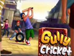 Gioco Gully Cricket