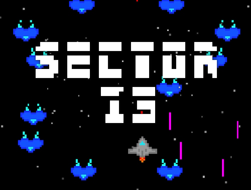 Gioco Settore 13 .