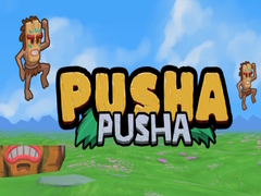 Gioco Pusha Pusha