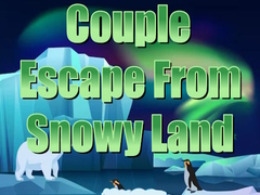 Gioco Couple Escape from Snowy Land