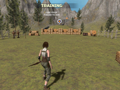 Gioco Archers Arena