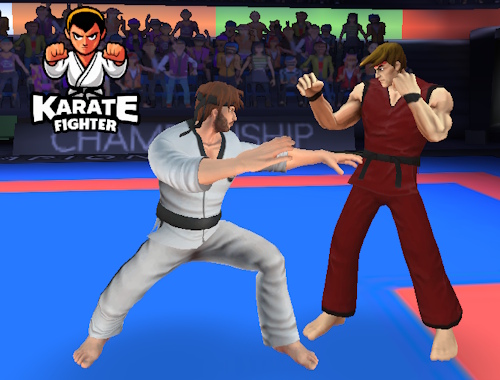Gioco Combattente di karate .