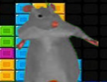 Gioco RATOMILTON CLOCKS FALLS .