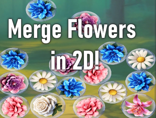 Gioco Unisci i fiori in 2D! .