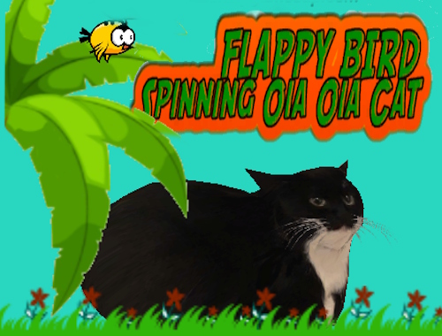 Gioco Uccello flappy che gira oia oia gatto .