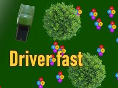 Gioco Driver fast