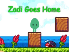 Gioco Zadi Goes Home