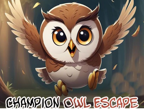 Gioco Champion Owl Escape .