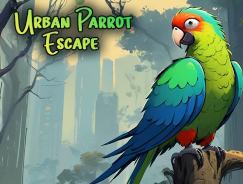 Gioco Escape del pappagallo urbano .