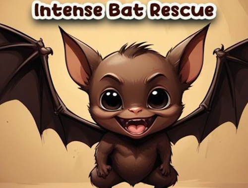 Gioco Intenso salvataggio di pipistrelli .