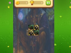 Gioco Magic Druid Memory Match