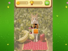 Gioco Farm Cat Memory Match