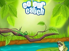 Gioco Colour Catch