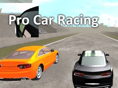 Gioco Pro Car Racing