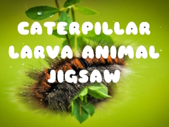 Gioco Caterpillar Larva Animal Jigsaw
