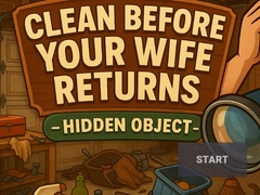 Gioco Clean Before Your Wife Returns Hidden Object