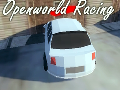 Gioco Openworld Racing