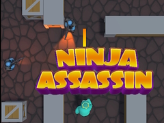 Gioco Ninja Assassin