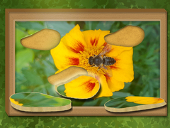 Gioco Find & Restore: Hidden Puzzle