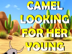Gioco Camel Looking For Her Young