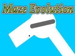 Gioco Maze Evolution