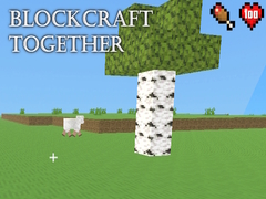 Gioco BlockCraft Together