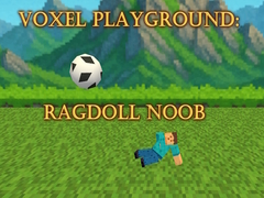 Gioco Voxel Playground: Ragdoll Noob