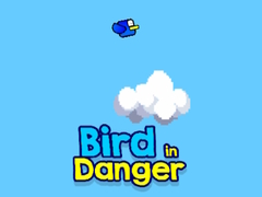 Gioco Bird in Danger