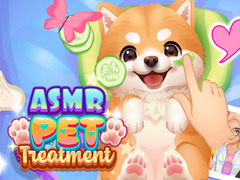 Gioco ASMR Pet Treatment