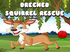 Gioco Drenched Squirrel Rescue