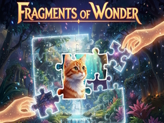 Gioco Fragments of Wonder