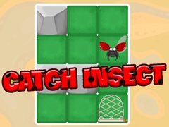 Gioco Catch Insect
