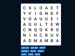 Gioco Word Search Word Puzzle