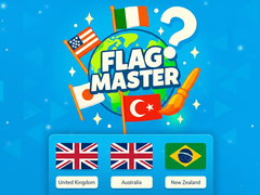 Gioco Flag Master