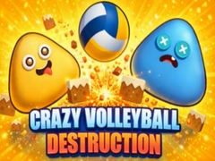 Gioco Crazy Volleyball Destruction