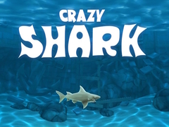 Gioco Crazy Shark