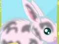 Gioco Take care of the little rabbit