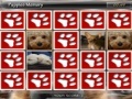 Gioco Puppies Memory