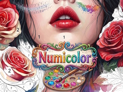 Gioco Numicolor