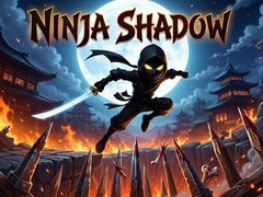 Gioco Ninja Shadow