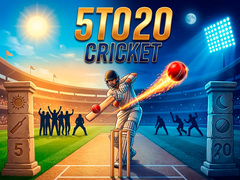 Gioco 5TO20 Cricket