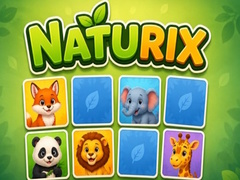 Gioco Naturix