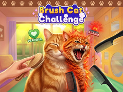 Gioco Brush Cat Challenge 