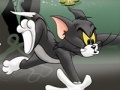 Gioco Tom And Jerry Chase In Marsh