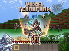 Gioco Voxel Terraform